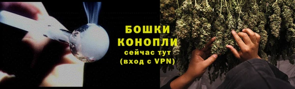 прущие грибы Киселёвск