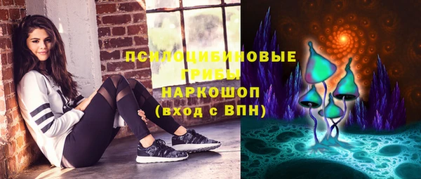Альфа ПВП Ладушкин