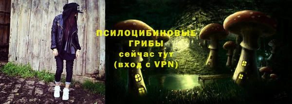 винт Каменск-Шахтинский
